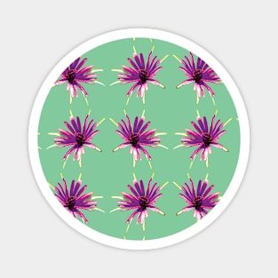 Purple Flower Pattern - Wild Salsify on Jade Green Magnet